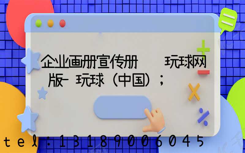 企业画册宣传册设计玩球网页版-玩球（中国）