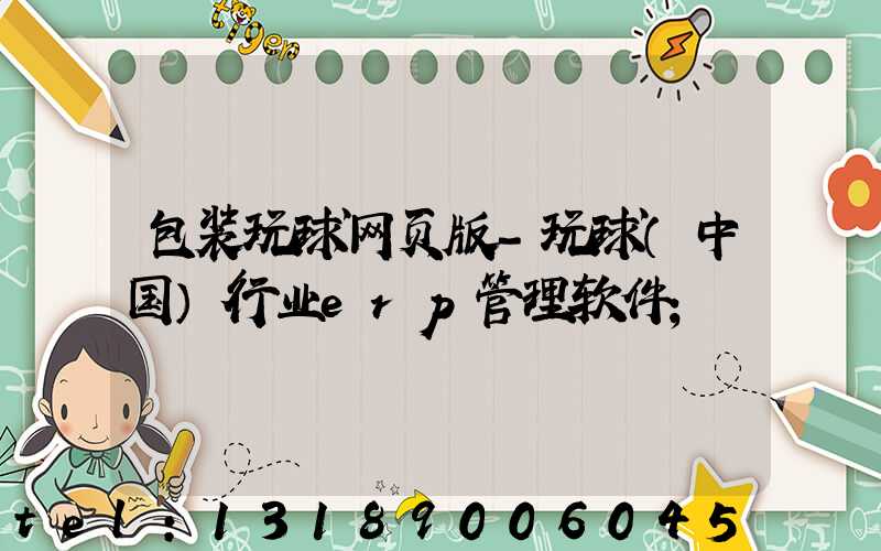 包装玩球网页版-玩球（中国）行业erp管理软件
