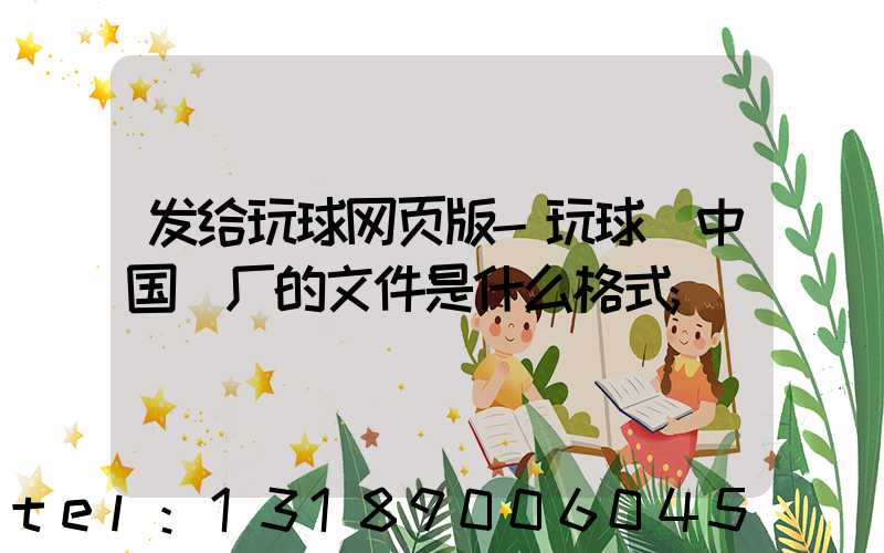 发给玩球网页版-玩球（中国）厂的文件是什么格式