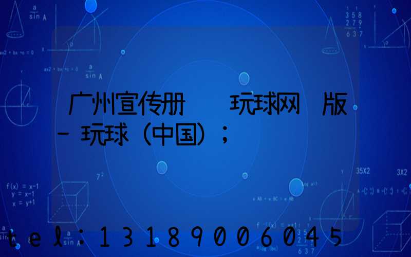 广州宣传册设计玩球网页版-玩球（中国）