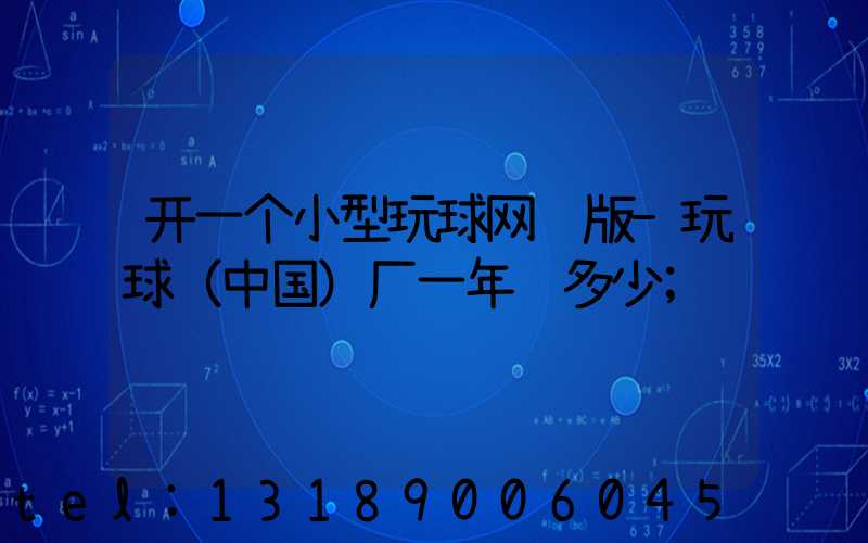 开一个小型玩球网页版-玩球（中国）厂一年赚多少
