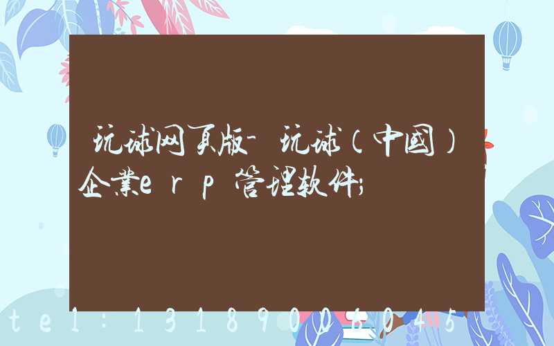 玩球网页版-玩球（中国）企业erp管理软件