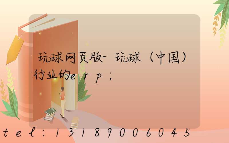 玩球网页版-玩球（中国）行业的erp