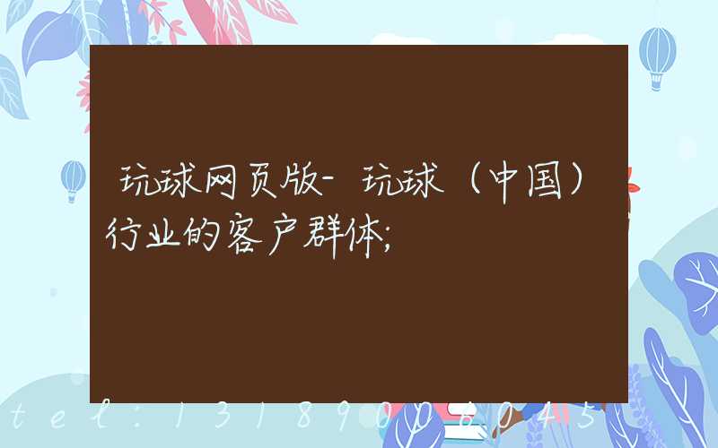 玩球网页版-玩球（中国）行业的客户群体