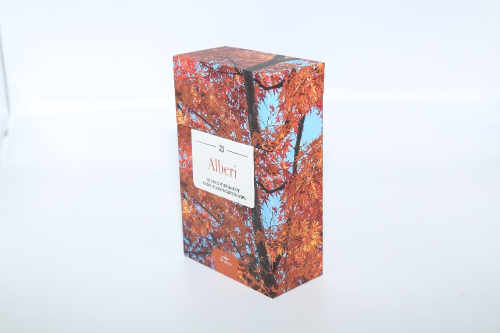 广州包装盒玩球网页版-玩球（中国）厂- 设计+玩球网页版-玩球（中国） 快速上手