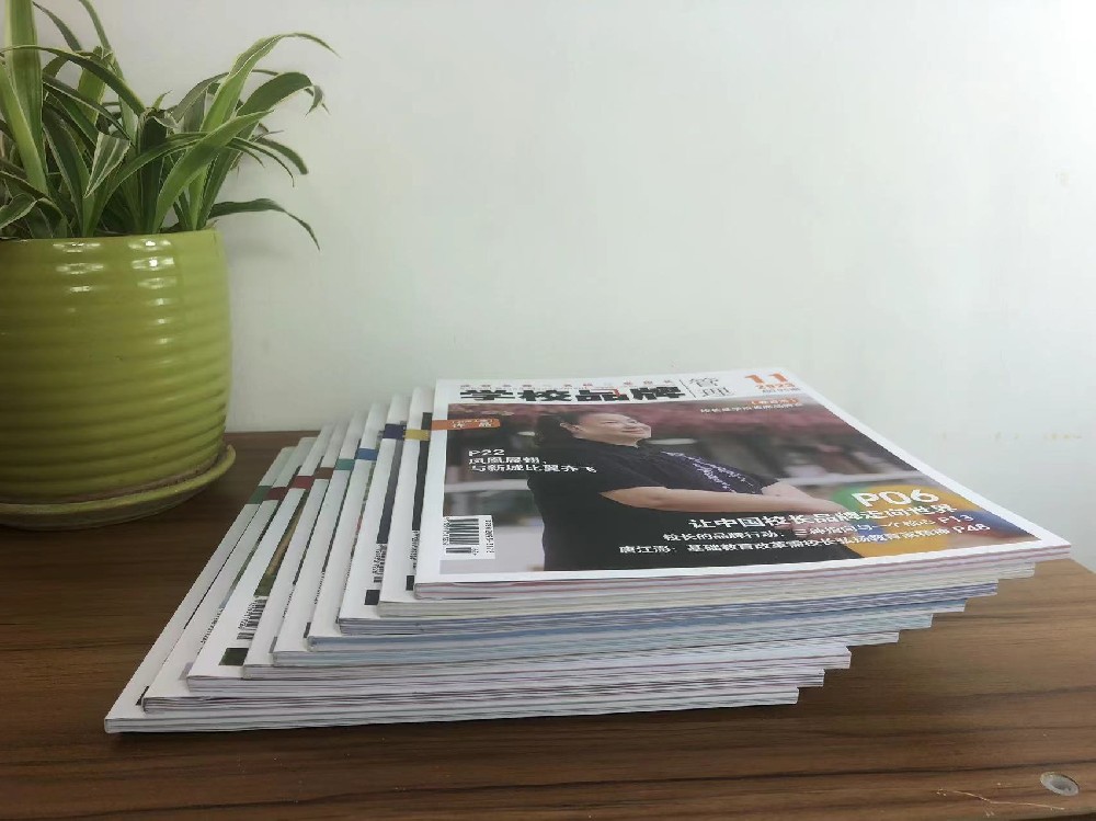 宣传册 玩球网页版-玩球（中国）