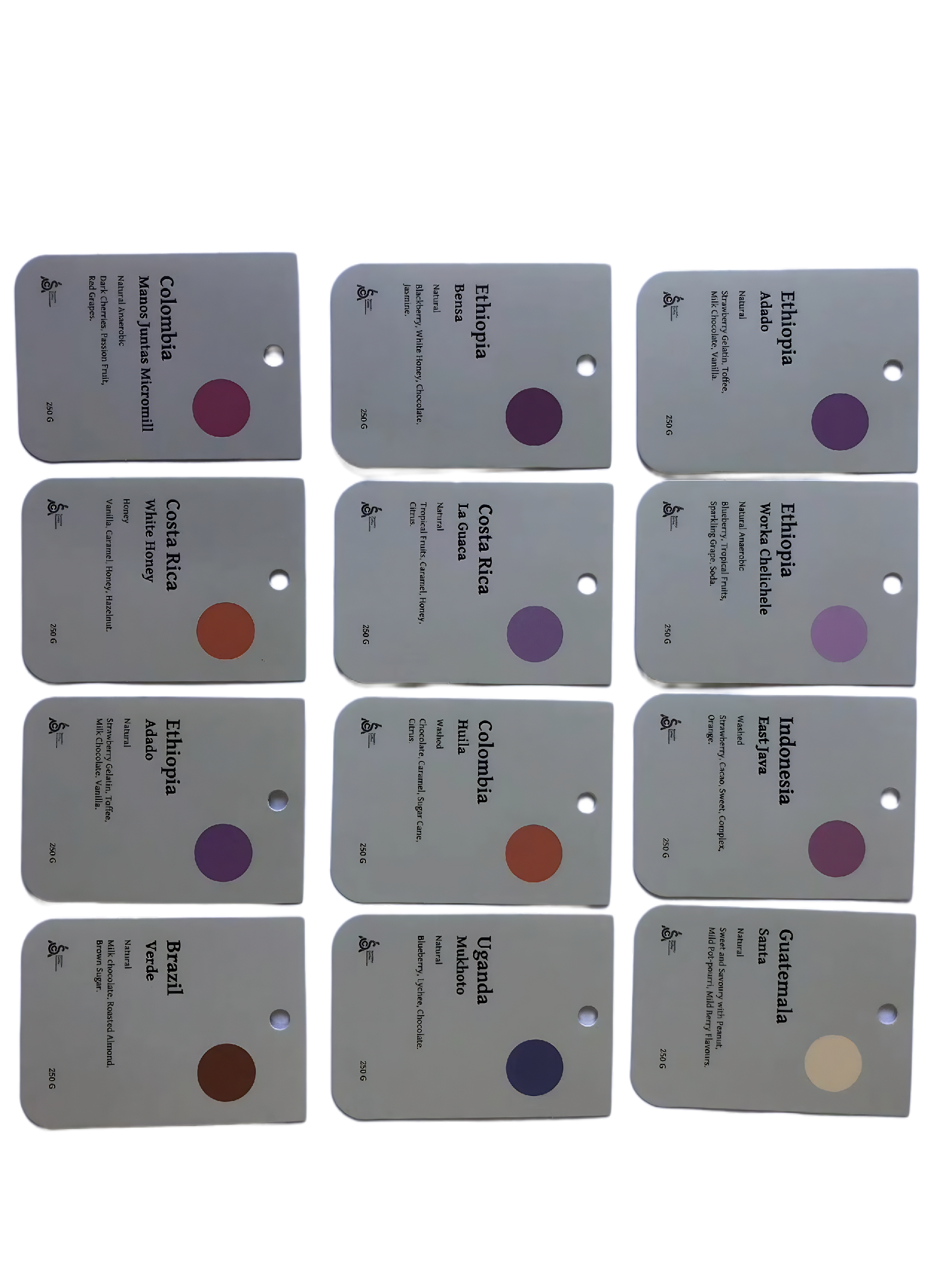 吊牌(打孔 圆角 烫黑金 击凹).png