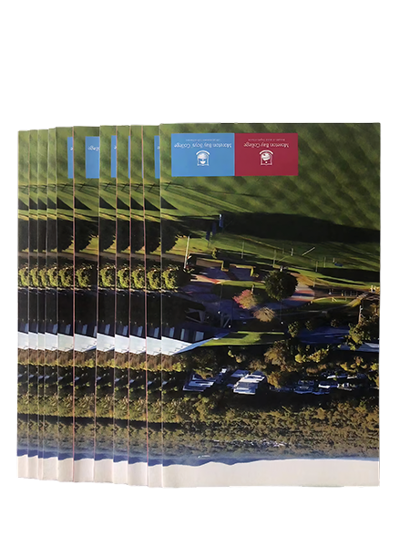 海报玩球网页版-玩球（中国）：视觉传达的艺术与力量